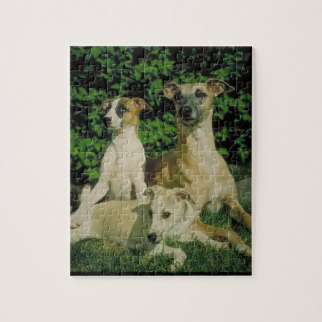 Greyhound and Puppies Dog Puzzle (Vertical)
