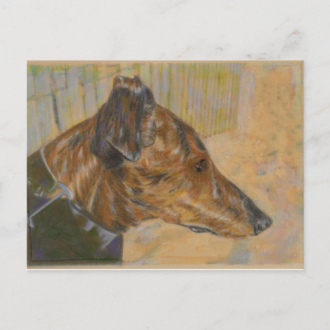 Greyhound art postcard (Front)