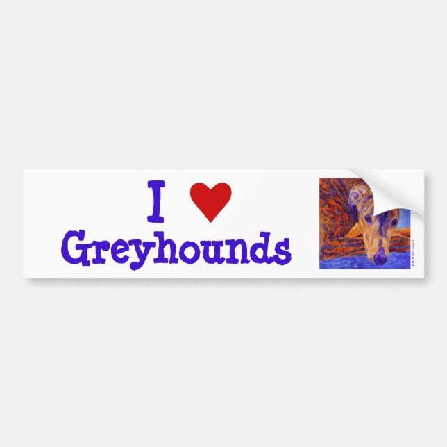 Greyhound Bumper Sticker (Front)