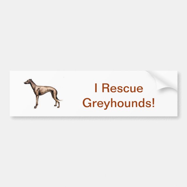 Greyhound Bumper Sticker (Front)