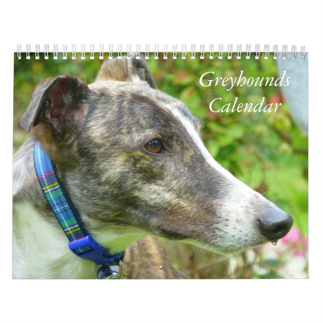 Greyhound calendar (Cover)