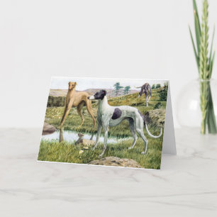 Greyhound Card