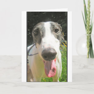 Greyhound Card