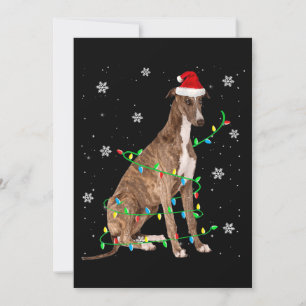 greyhound christmas light cute santa greyhound invitation