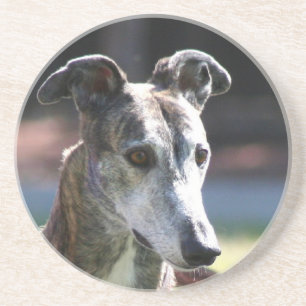 Greyhound coaster