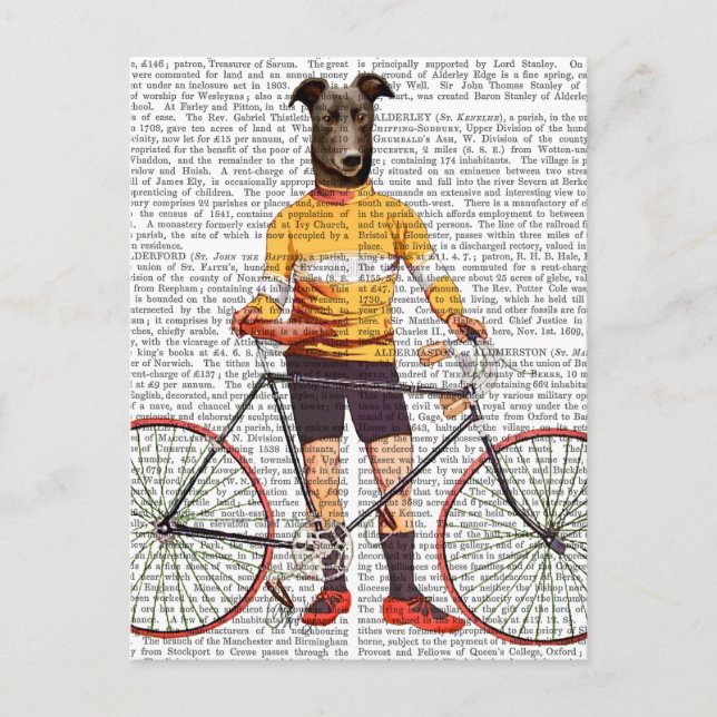 Greyhound Cyclist Postcard (Front)