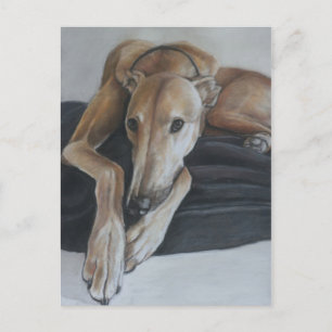 Greyhound Dog Art Postcard