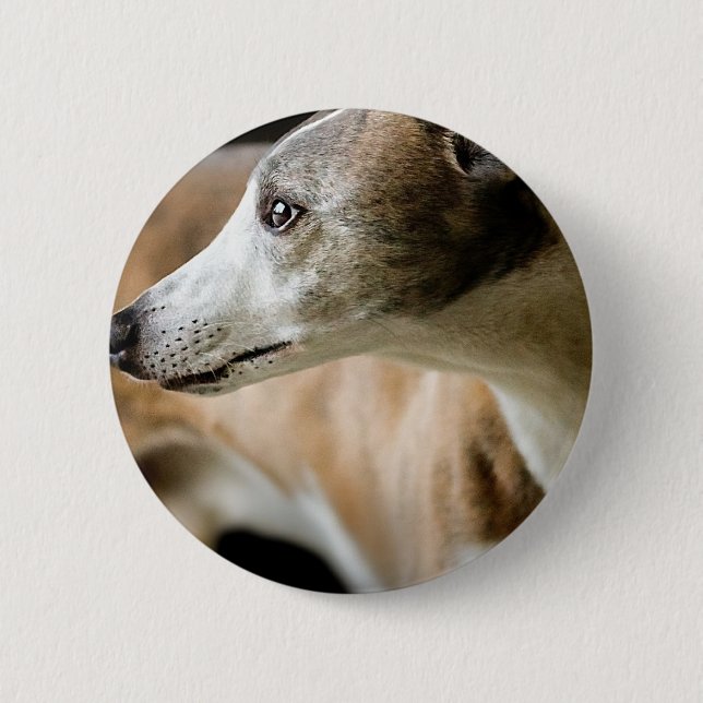 Greyhound Dog  Button (Front)