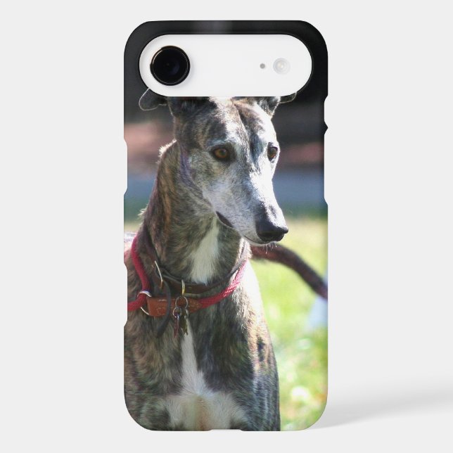 Greyhound dog Case-Mate iPhone case (Back)