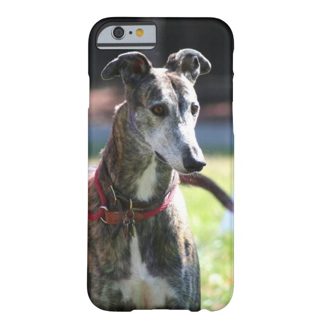 Greyhound dog Case-Mate iPhone case (Back)