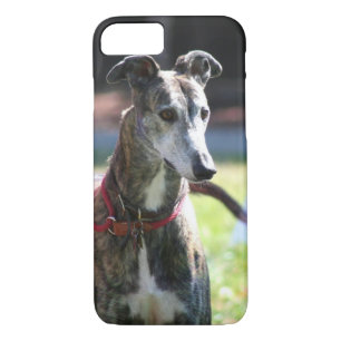 Greyhound dog iPhone 8/7 case