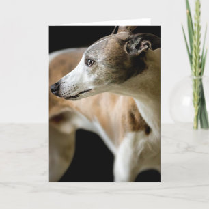 Greyhound Dog  Greeting Card