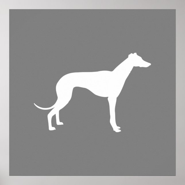 Greyhound Dog Poster (Front)