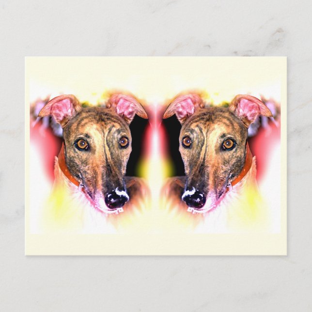 Greyhound dogs animal art postcard (Front)