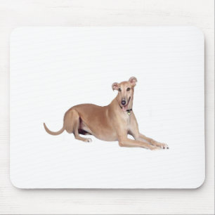 Greyhound (fawn, lying down) mouse pad