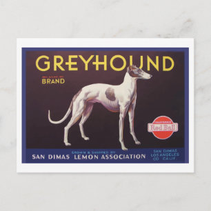 Greyhound Fruit Crate Label Postcard