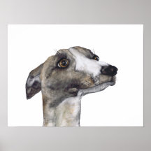 GREYHOUND g918