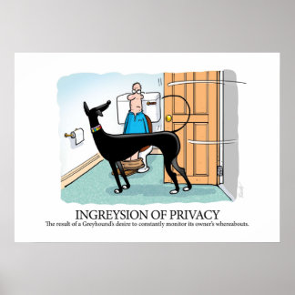 Greyhound Glossary Ingreysion of Privacy Poster