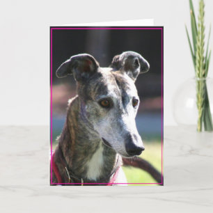 Greyhound greeting card