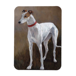 Greyhound Gus Dog Art Magnet