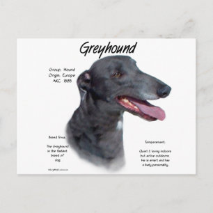 Greyhound History Design Postcard