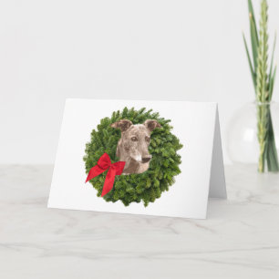 Greyhound in Xmas Wreath Holiday Card