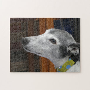 Greyhound jigsaw puzzle