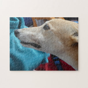 Greyhound jigsaw puzzle
