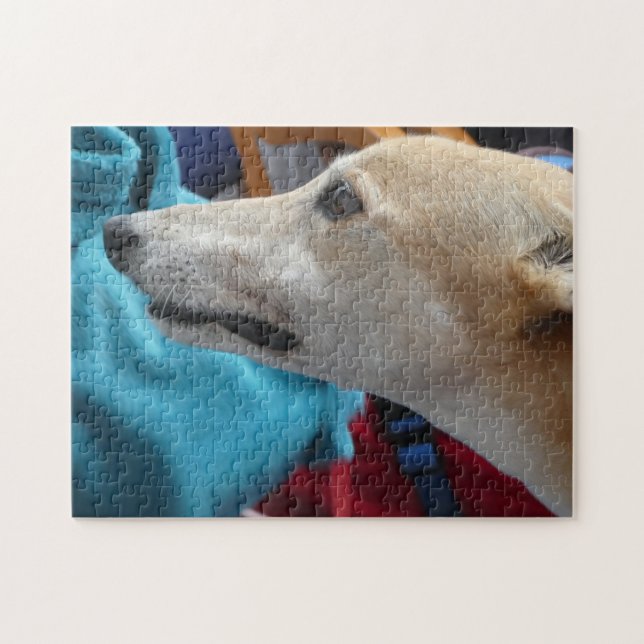 Greyhound jigsaw puzzle (Horizontal)