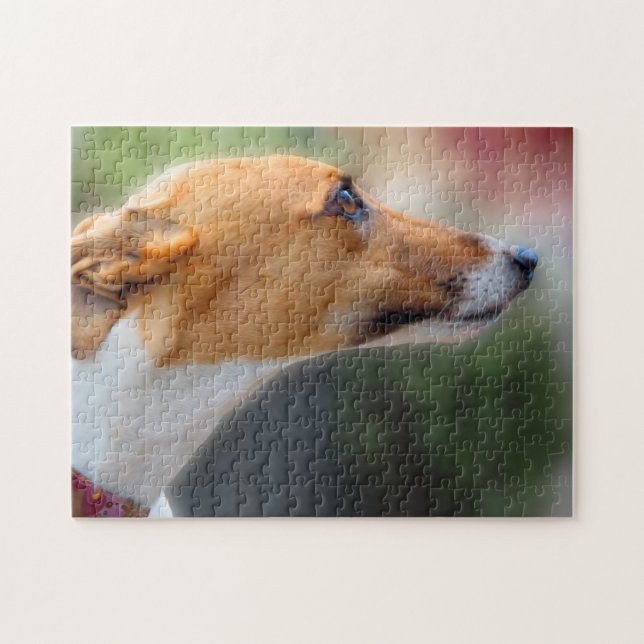 Greyhound jigsaw puzzle (p103) (Horizontal)