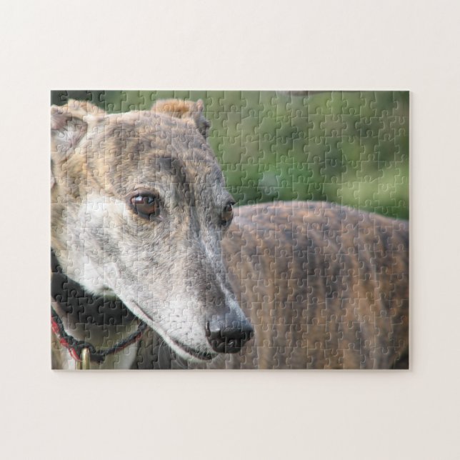 Greyhound jigsaw puzzle (p401) Alice (Horizontal)