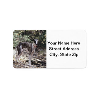 Greyhound Label