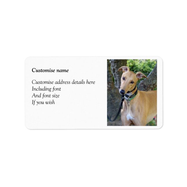 Greyhound labels (p85) (Front)