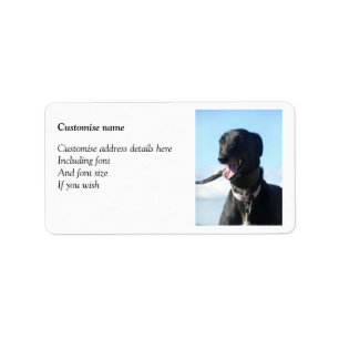 Greyhound labels (p87)