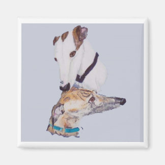 Greyhound magnet