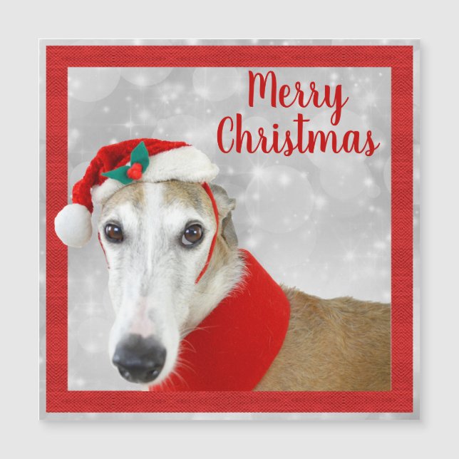 Greyhound Merry Christmas (Front)