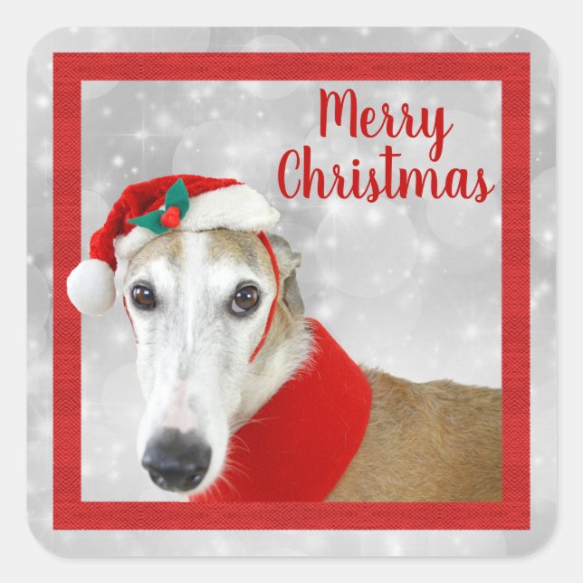 Greyhound Merry Christmas Square Sticker (Front)