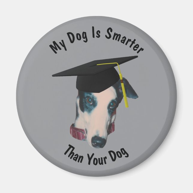 Greyhound My Dog Is Smarter Than Yours Funny Magnet (Front)
