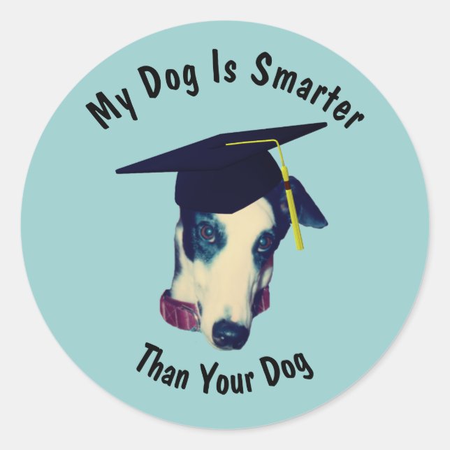 Greyhound My Dog Smarter Than Your Dog Funny  Classic Round Sticker (Front)