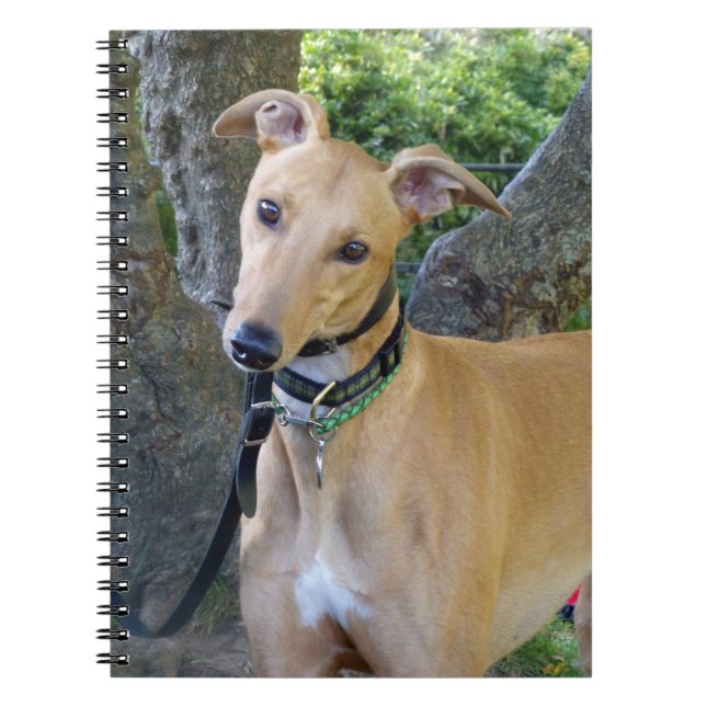 Greyhound notebook (P003) (Front)