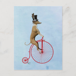 Greyhound on Red Penny Farthing Postcard