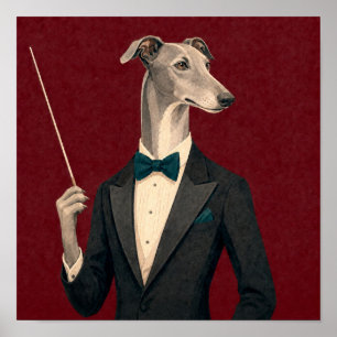 Greyhound Orchestra Conductor Wearing Tuxedo and B Poster