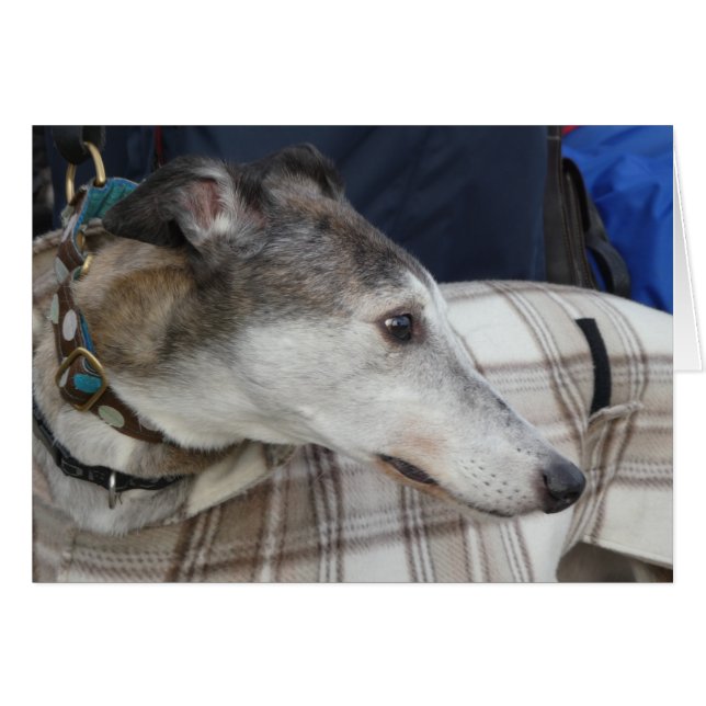 Greyhound photocard (Front Horizontal)