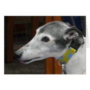 Greyhound photocard