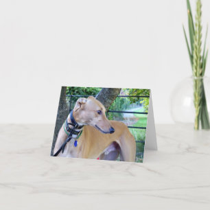 Greyhound photocard (p9) card