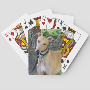 Greyhound playing cards (5)