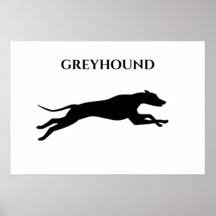 Greyhound poster. poster