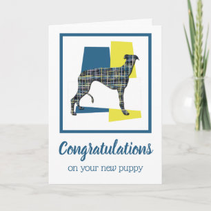 Greyhound Puppy Dog Congratulations Greeting Card