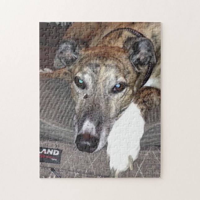 Greyhound Puzzle (Vertical)