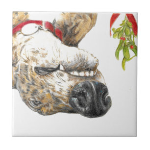 Greyhound roaching under the mistletoe tile